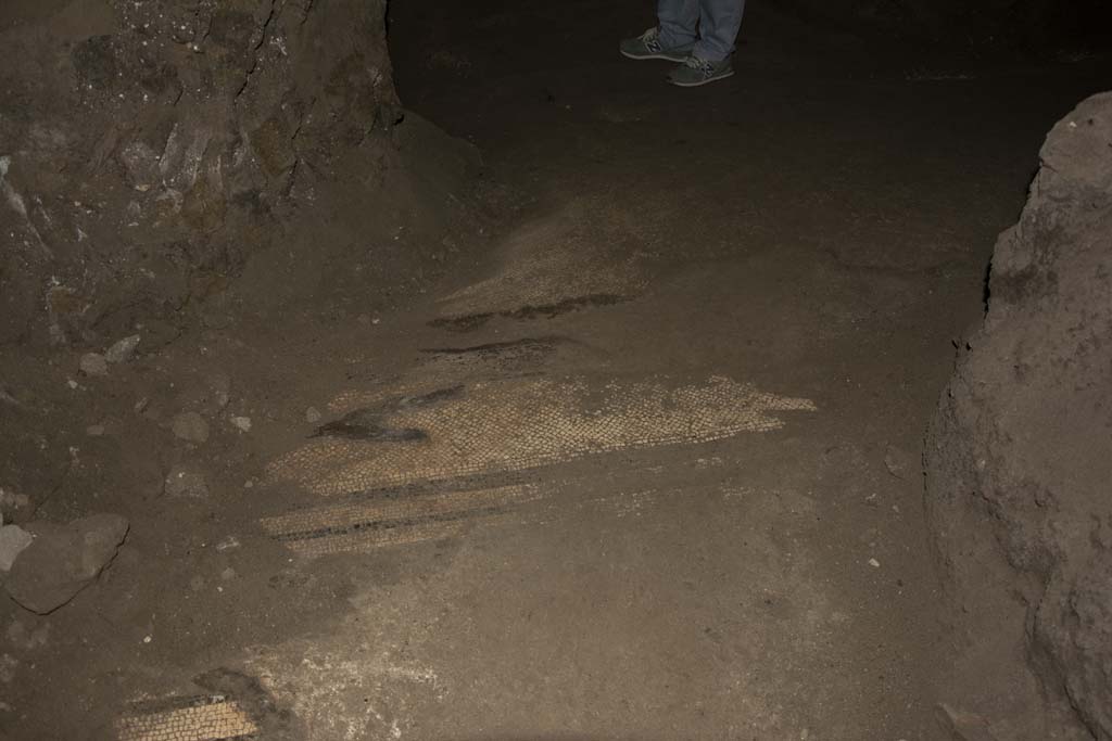 Villa dei Papiri, March 2019. Flooring in Bourbon tunnel.
Foto Annette Haug, ERC Grant 681269 DÉCOR.